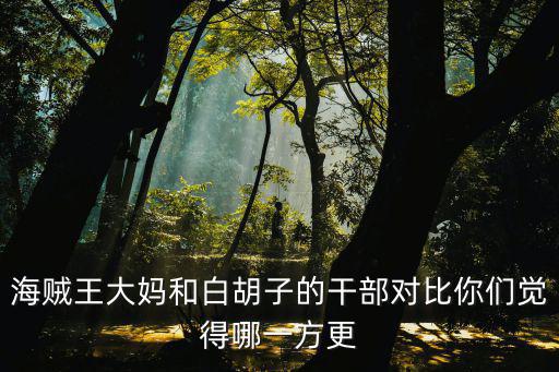 海贼王大妈和白胡子的干部对比你们觉得哪一方更