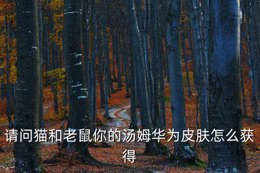 请问猫和老鼠你的汤姆华为皮肤怎么获得