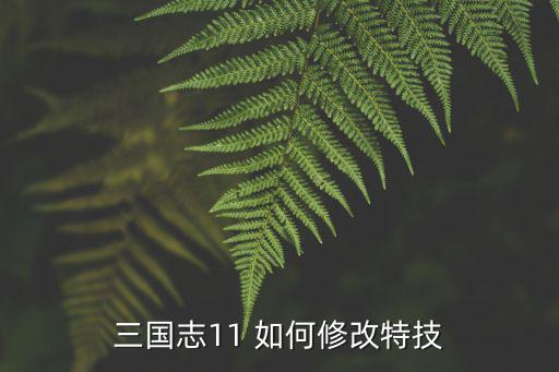 三国志11手游怎么改特技，三国志11 威力加强 怎么自创特技