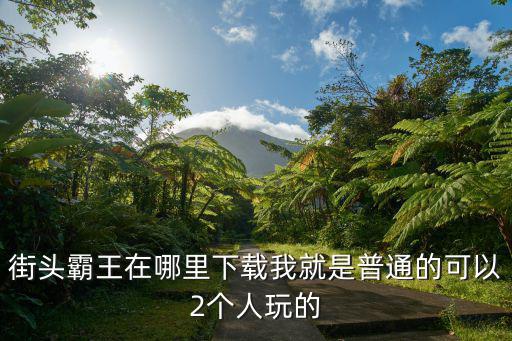 街头霸王在哪里下载我就是普通的可以2个人玩的