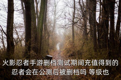 火影忍者手游删档测试期间充值得到的忍者会在公测后被删档吗 等级也