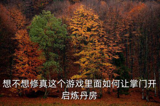 想不想修真这个游戏里面如何让掌门开启炼丹房