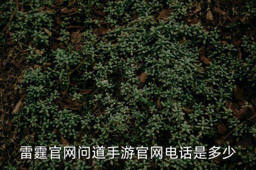 问道手游qq怎么和雷霆一起，雷霆官网问道手游官网电话是多少