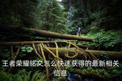 王者荣耀铭文怎么快速获得的最新相关信息
