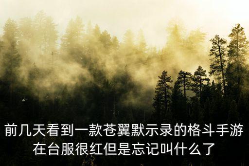 前几天看到一款苍翼默示录的格斗手游在台服很红但是忘记叫什么了
