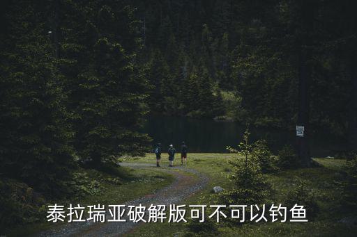 泰拉瑞亚破解版可不可以钓鱼