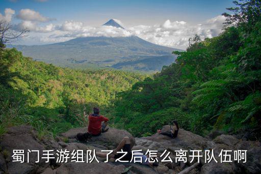 蜀门手游怎么退出登入，求教登入游戏后如何退出