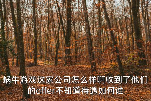 蜗牛游戏这家公司怎么样啊收到了他们的offer不知道待遇如何谁