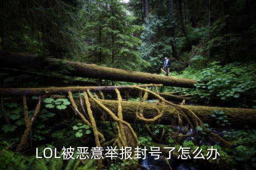 LOL被恶意举报封号了怎么办