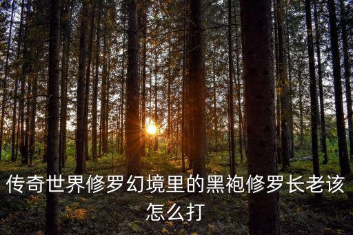 传奇世界修罗幻境里的黑袍修罗长老该怎么打