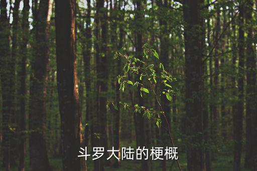 斗罗大陆的梗概