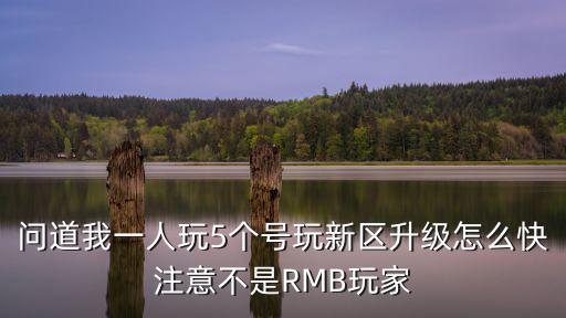 问道我一人玩5个号玩新区升级怎么快注意不是RMB玩家