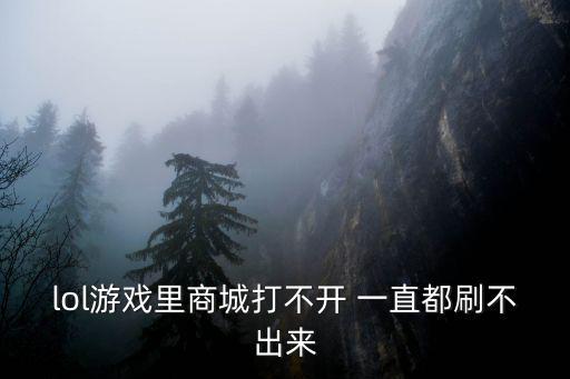 lol游戏里商城打不开 一直都刷不出来