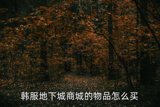 韩服地下城商城的物品怎么买
