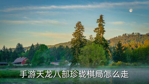 手游天龙八部珍珑棋局怎么走