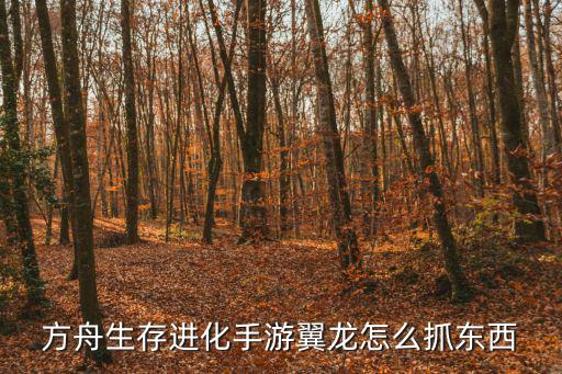 方舟手游双人抓龙怎么抓，方舟生存进化私服 喷火龙怎么捉
