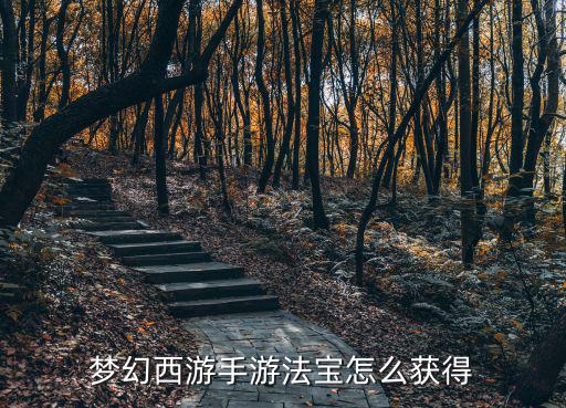 梦幻西游手游法宝怎么获得