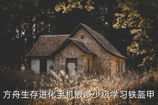 方舟生存进化手机版多少级学习铁盔甲