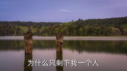 为什么只剩下我一个人
