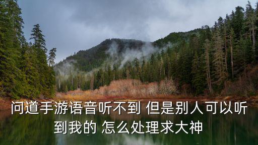 问道手游语音听不到怎么回事，为什么我问道手游听不到别人说话我说话别人听得到IOS版