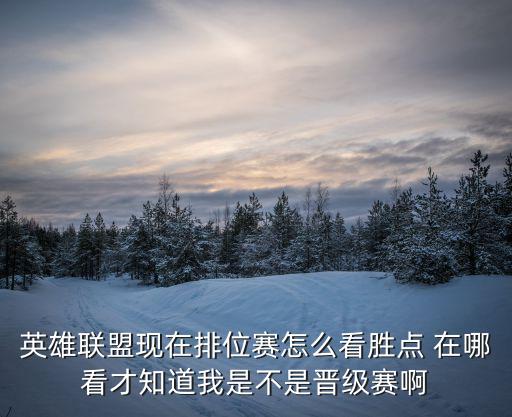 英雄联盟现在排位赛怎么看胜点 在哪看才知道我是不是晋级赛啊