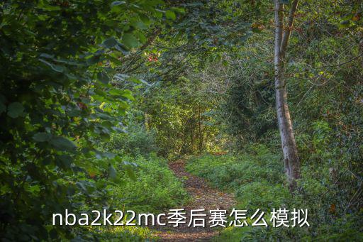 2k22手游季后赛怎么不能模拟，2k22辉煌生涯季后赛怎么模拟