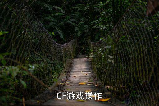 怎么查看穿越火线手游违规操作，怎么查穿越火线违规记录