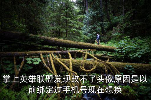 掌上英雄联盟发现改不了头像原因是以前绑定过手机号现在想换