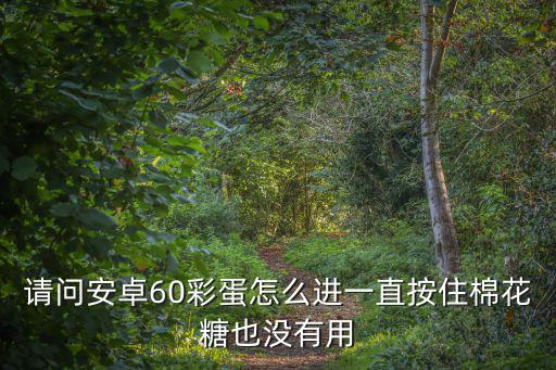 请问安卓60彩蛋怎么进一直按住棉花糖也没有用