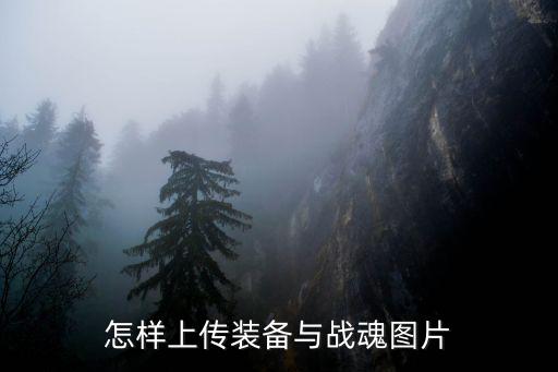 怎样上传装备与战魂图片