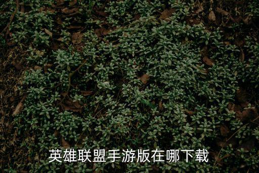 英雄联盟手游版在哪下载