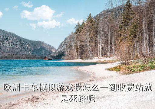 欧洲卡车模拟3手游怎么卸货，欧洲卡车模拟游戏我怎么一到收费站就是死路呢