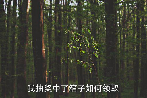 我抽奖中了箱子如何领取