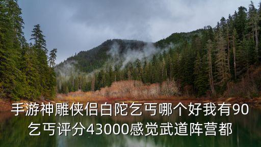 手游神雕侠侣白陀乞丐哪个好我有90乞丐评分43000感觉武道阵营都
