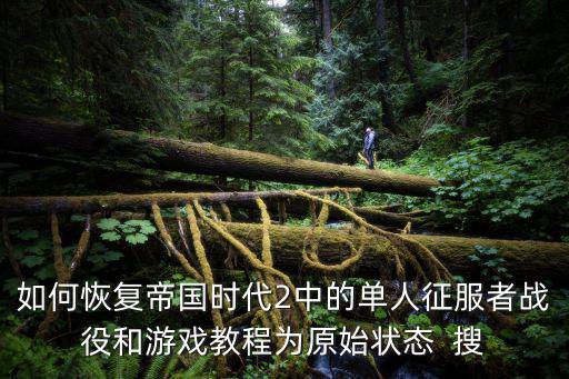 如何恢复帝国时代2中的单人征服者战役和游戏教程为原始状态  搜