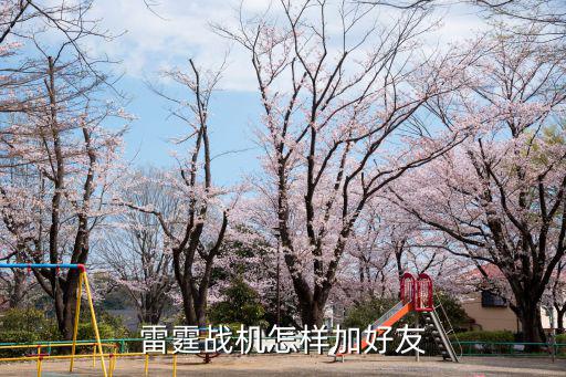 雷霆战机怎样加好友