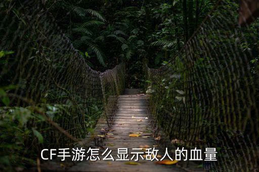 CF手游怎么显示敌人的血量