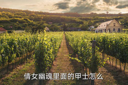 倩女幽魂手游95剧情甲士怎么刷，倩女幽魂里面的甲士怎么