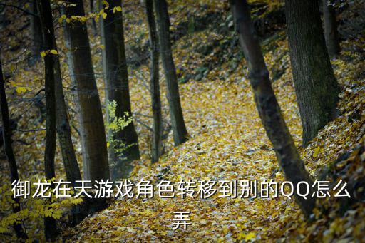 御龙在天游戏角色转移到别的QQ怎么弄