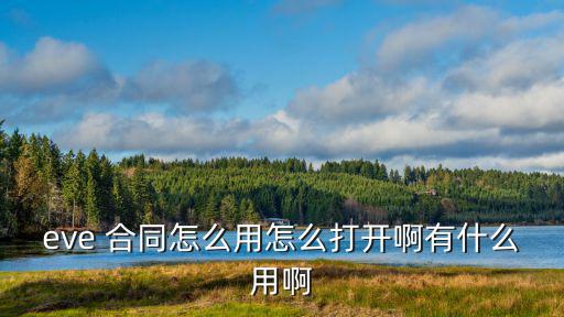 eve手游合同怎么降低费用，eve 合同怎么用怎么打开啊有什么用啊