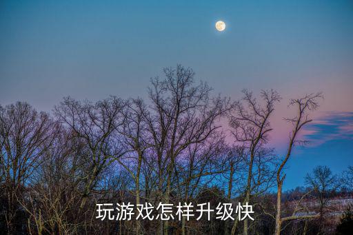 手游打怪类游戏怎么快速升级，游戏怎样升级快