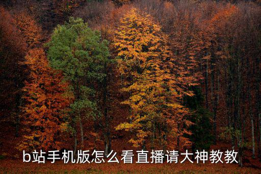 b站手机版怎么看直播请大神教教