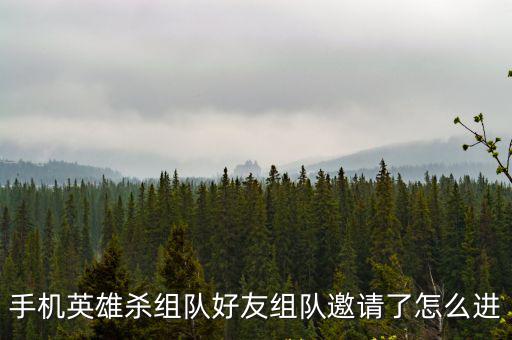 手机英雄杀组队好友组队邀请了怎么进