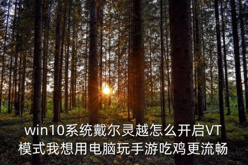 win10系统戴尔灵越怎么开启VT模式我想用电脑玩手游吃鸡更流畅