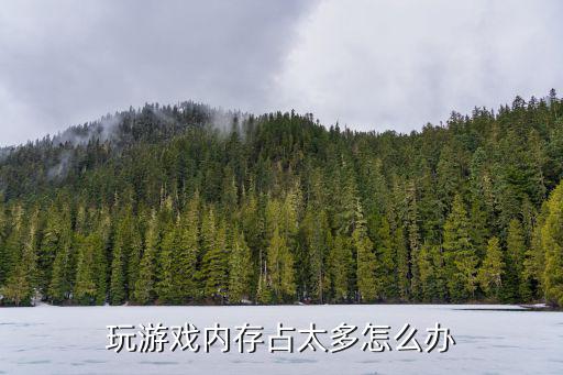 手游占运行内存怎么办，手机运行内存不够游戏打不开怎么办