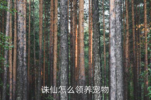 诛仙手游宠物怎么获得，诛仙手游稀有宠物怎么得 抓稀有宠物技巧