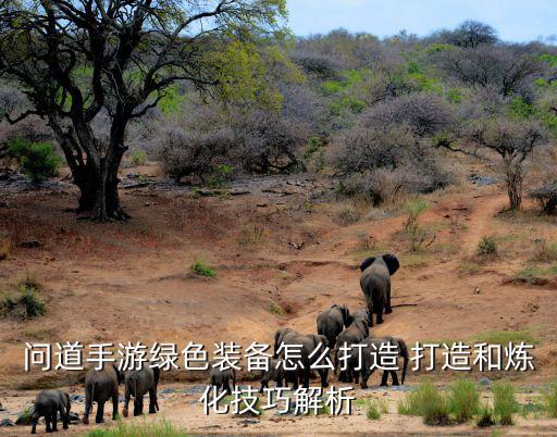 问道手游绿色套装怎么玩，问道怎么练绿色装备啊