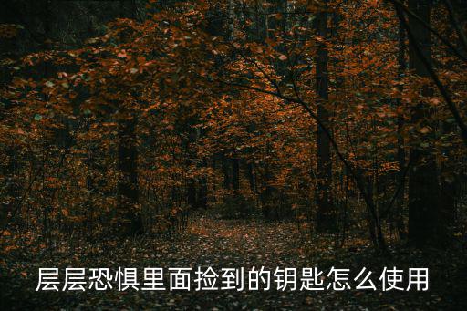 手游双层之战的钥匙怎么用，层层恐惧里面捡到的钥匙怎么使用