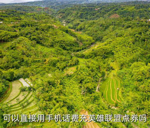 可以直接用手机话费充英雄联盟点券吗