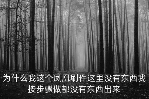 为什么我这个凤凰刷件这里没有东西我按步骤做都没有东西出来